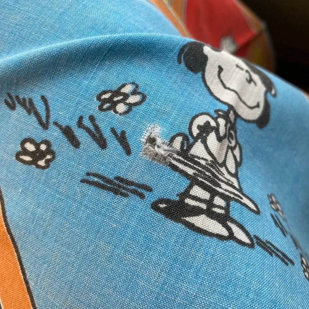 Vtg Peanuts Charlie Brown Snoopy Twin Flat Sheet & Pillow Case Colorful Quotes